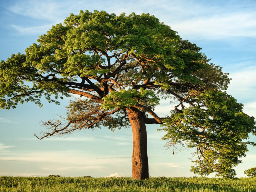 صورة من المعرض 1