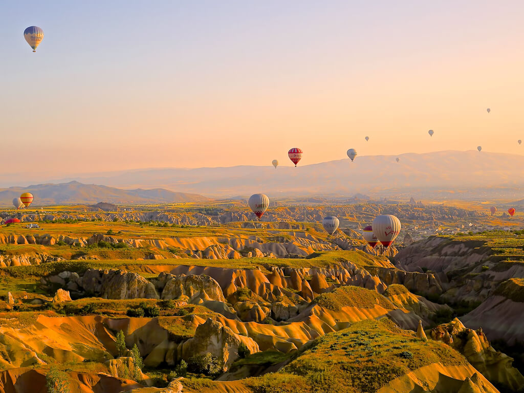 صورة من المعرض 2