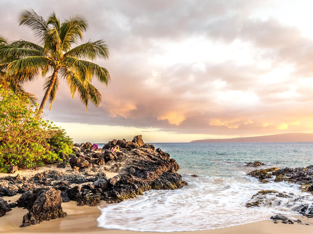 صورة من المعرض 4