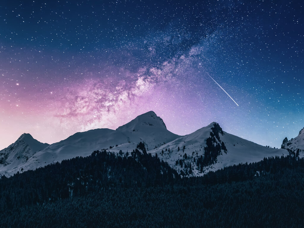 صورة من المعرض 6