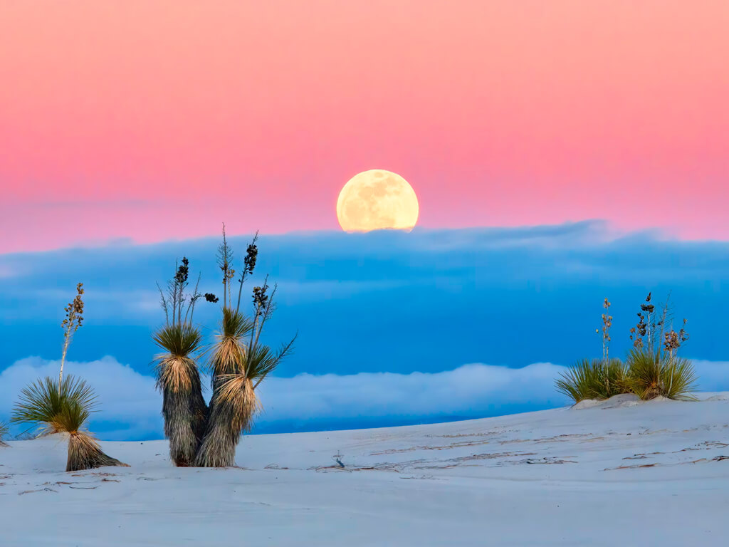 صورة من المعرض 3