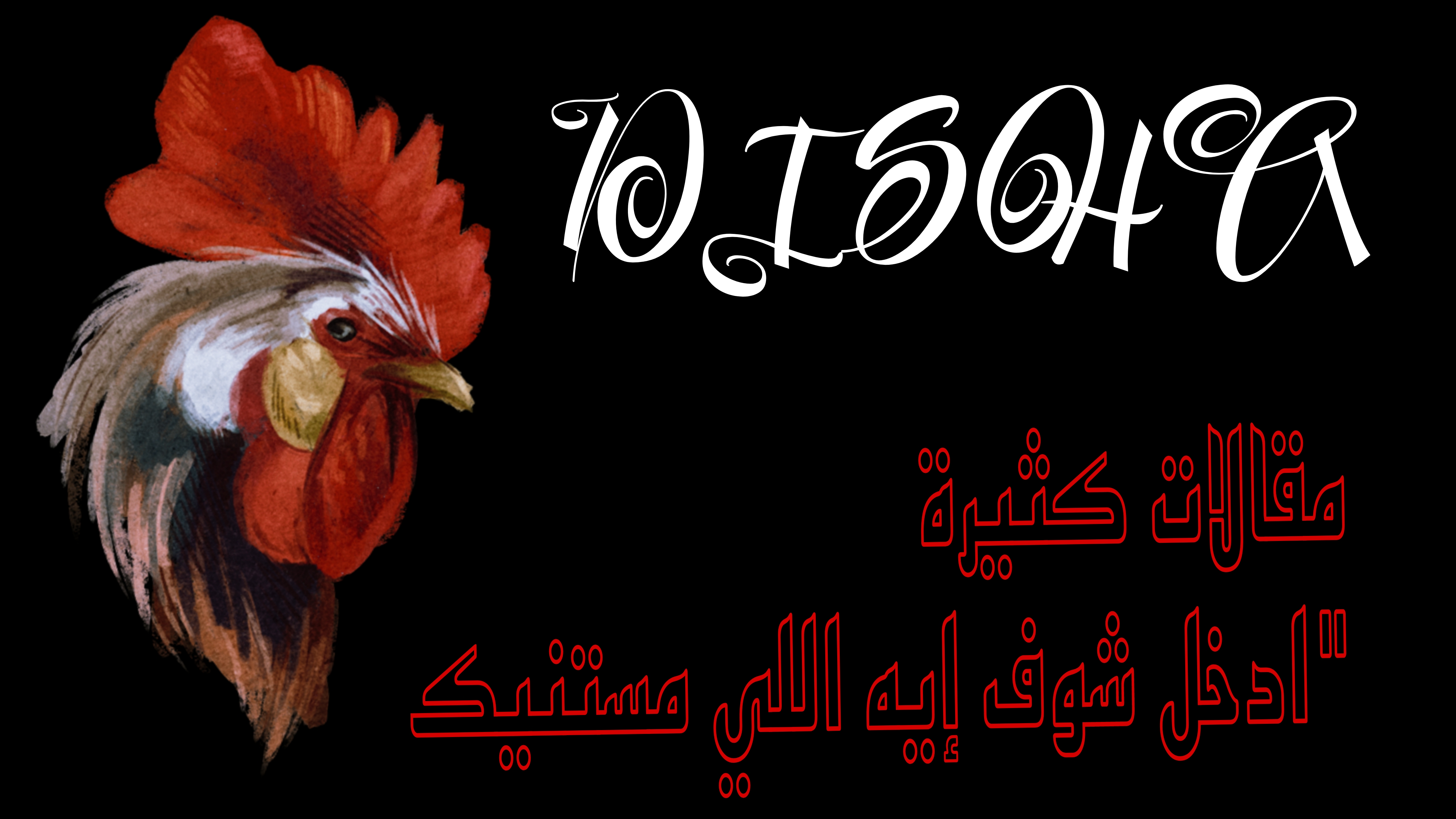 صورة أخرى من المعرض